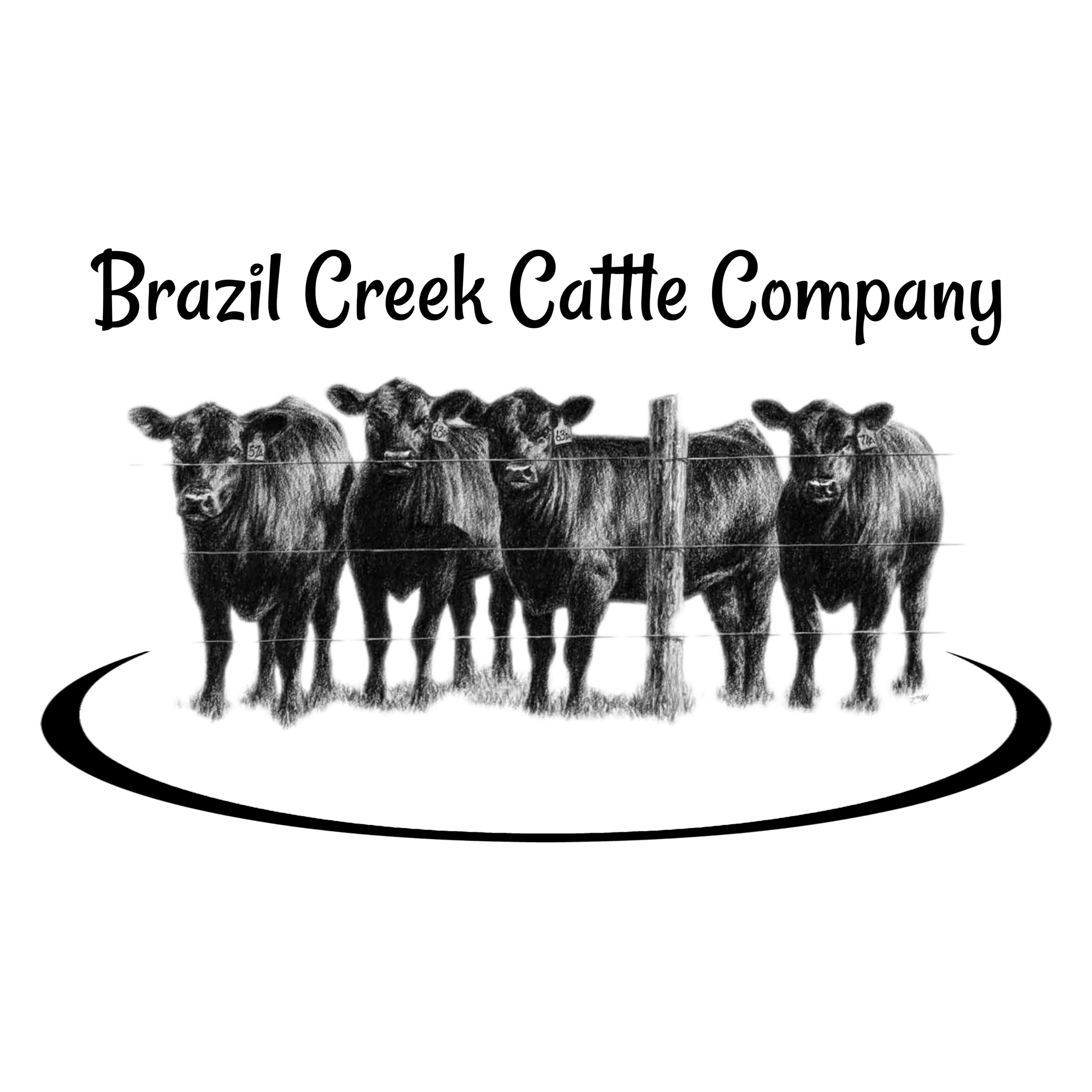 Brazil Creek Cattle Company
